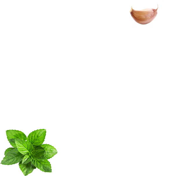 veg vegan , meat,seafood